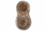 Polished Devil's Red Agate Pair - TeePee Canyon, South Dakota #373408-3